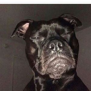 Meet your Posher, Ralph